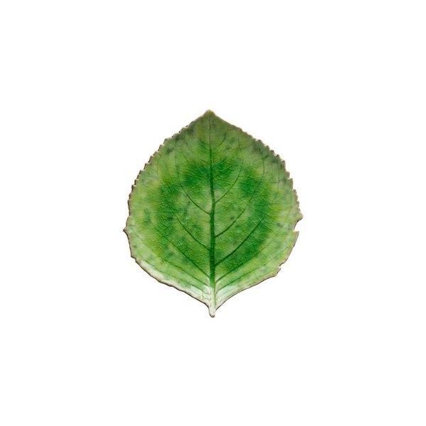Costa Nova Hydranchea Leaf small 17 cm