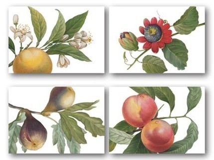 Luxe set linnen placemats en servetten Fruit Love - 8 delig - The Napking by Bellavia
