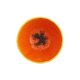 Bordallo Pinheiro - Tropical Fruits - Papaya
